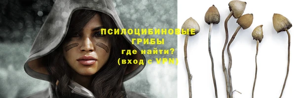 Альфа ПВП Беломорск
