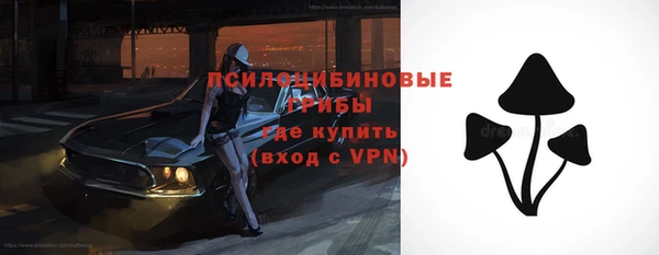 Альфа ПВП Беломорск