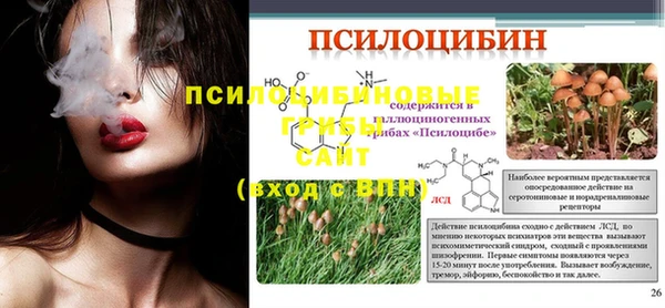 меф Белокуриха