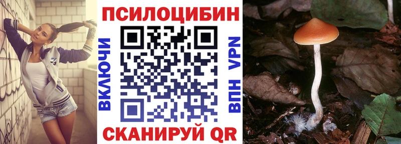 как найти   Красный Холм  Галлюциногенные грибы ЛСД 